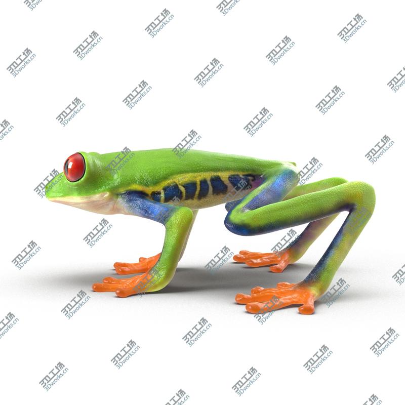 images/goods_img/2021040232/Red Eyed Tree Frog Rigged for Cinema 4D/2.jpg